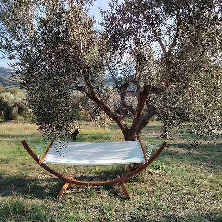 La Casa Delle Storie Bed & Breakfast